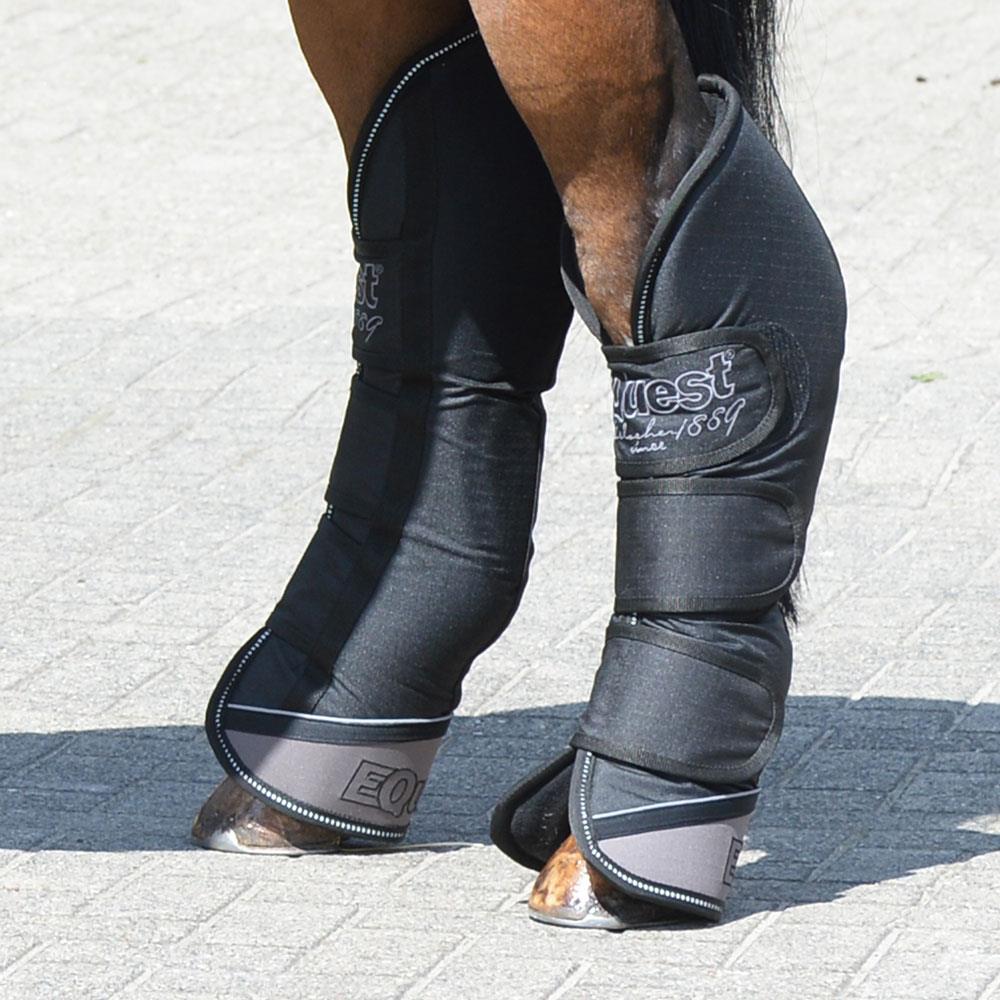 EQuest by Hölscher Transportgamasche | 4er Set black S Pony