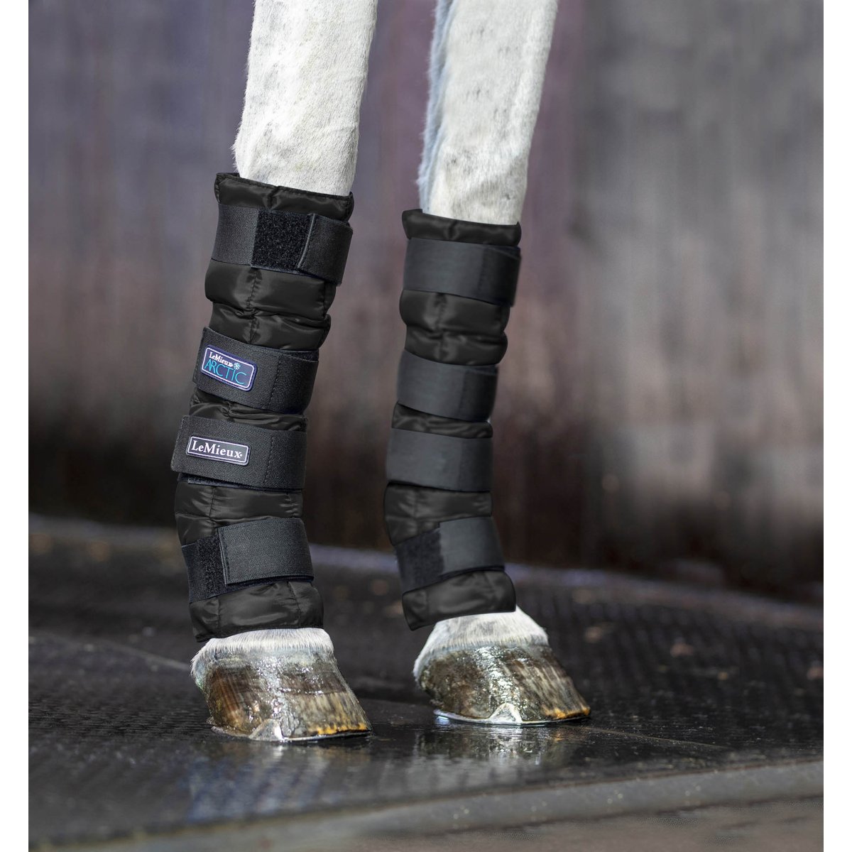LeMieux Arctic Ice Boots Kühlgamaschen Black