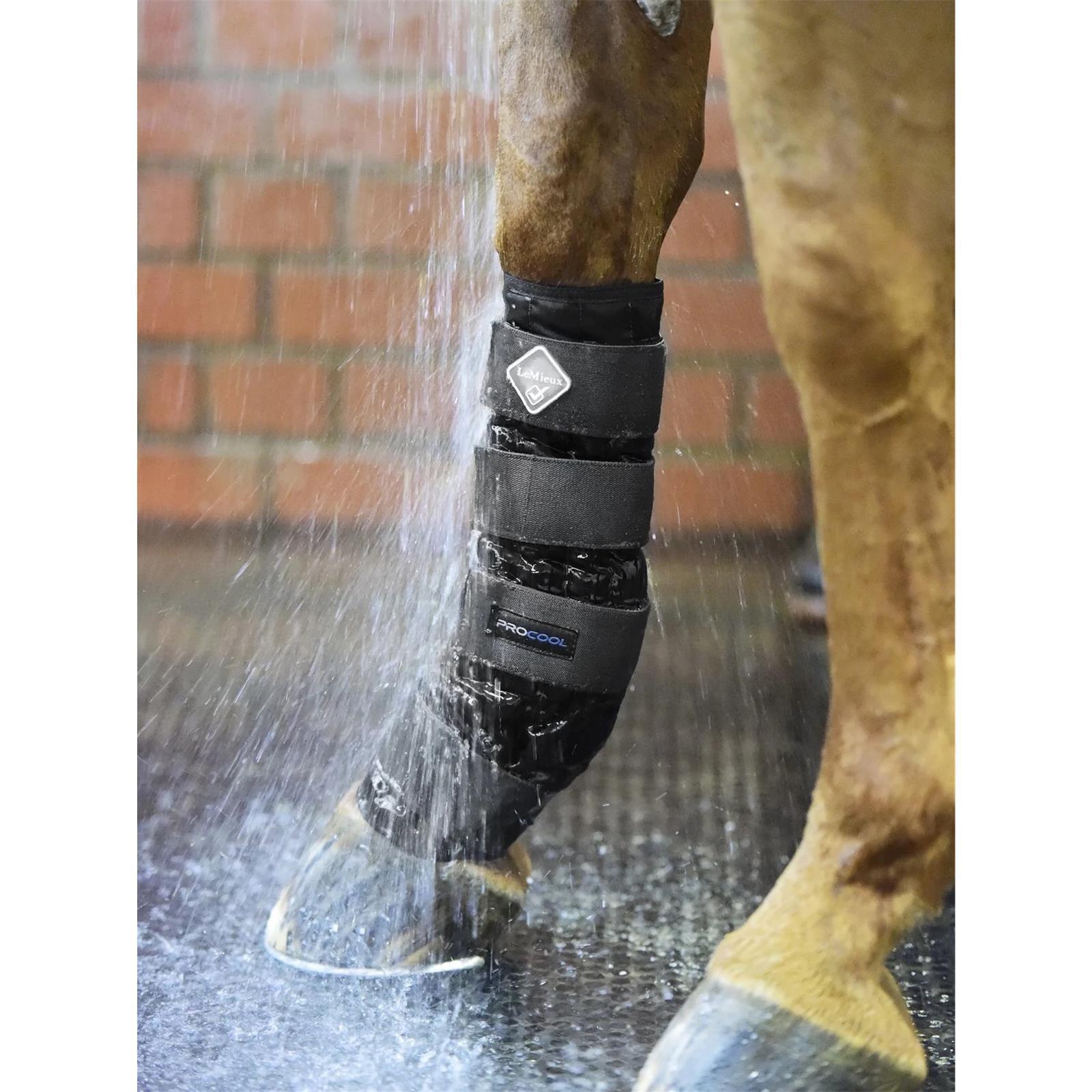 LeMieux Cold Water Boots L