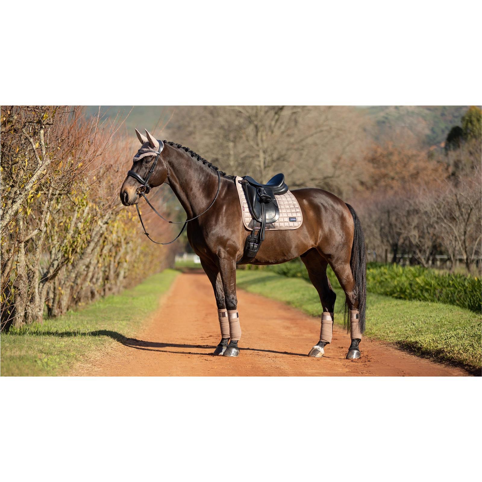 LeMieux Rhone Polo Bandages Fleecebandagen Prosecco