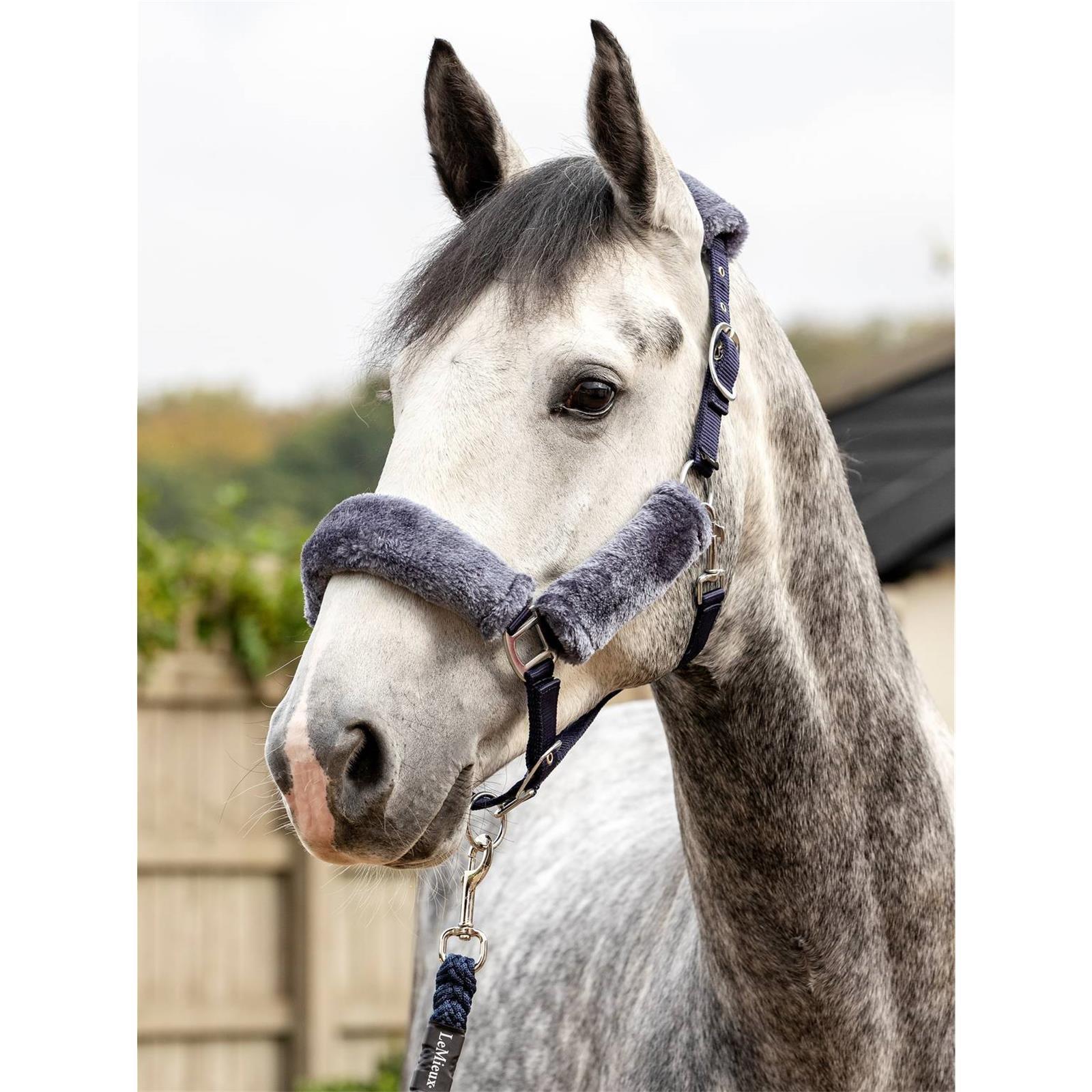 LeMieux Halfter Comfort Fleece Headcollar Navy/Grey Pony