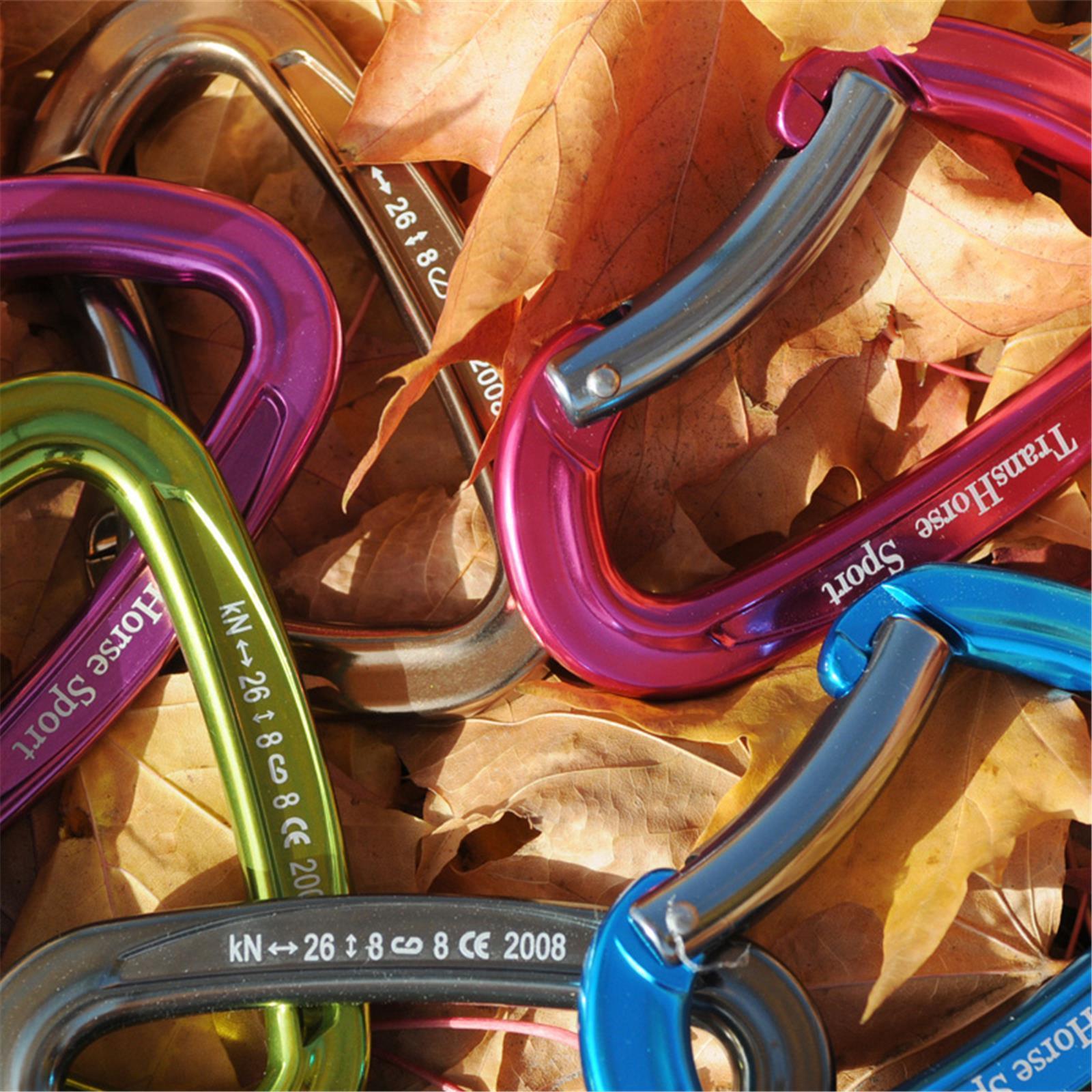 TransHorse Sport Aluminium Karabiner ice crystal