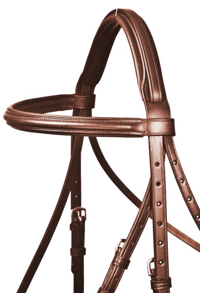 bb brown snaffle english combined