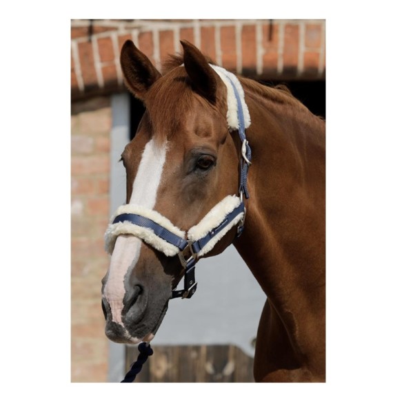 Premier Equine Halfter Techno Wool Lined Head Collar
