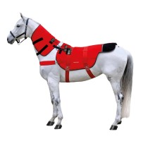 EQUUSIR BIOS Pferdedecke Magnetfelddecke für dein Pferd